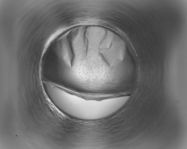 X0000085801480200703301445