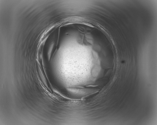 X0000085801481200703301445