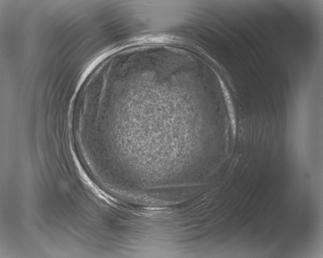 X0000085801483200703301445