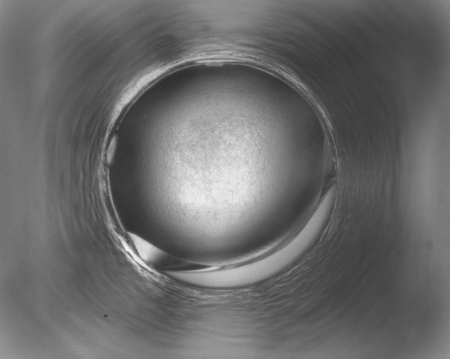 X0000085801485200703301445