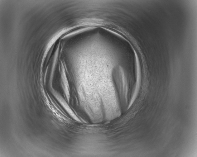 X0000085801488200703301445