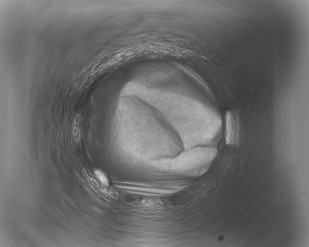 X0000085801491200703301444