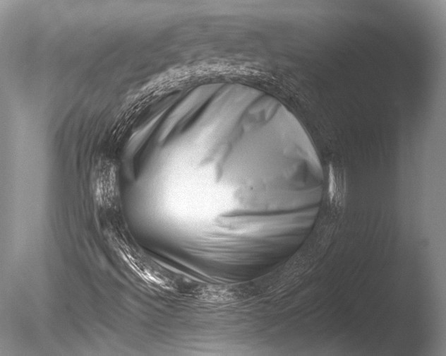X0000085801492200703301444