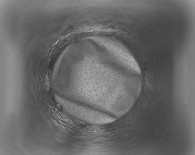 X0000085801493200703301444