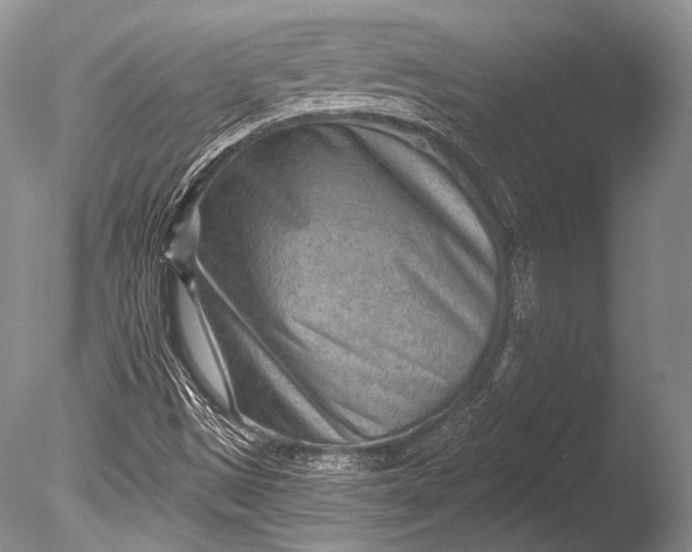 X0000085801497200703301444