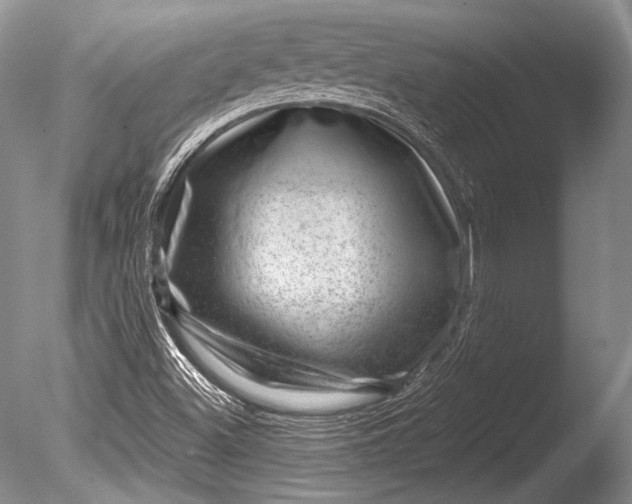 X0000085801500200703301444