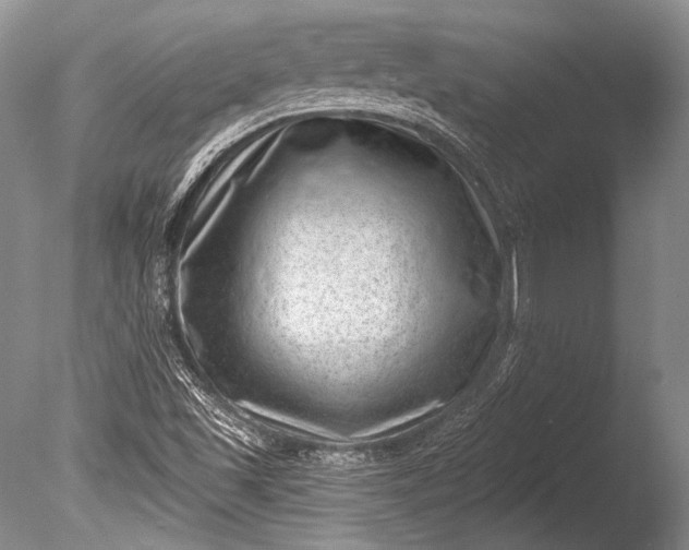 X0000085801501200703301444