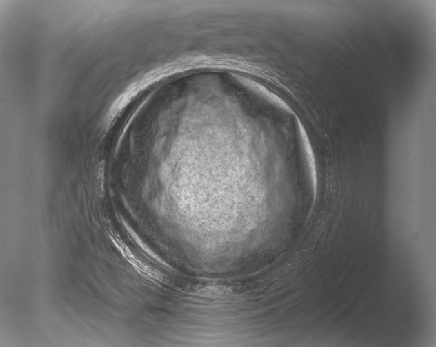 X0000085801503200703301444