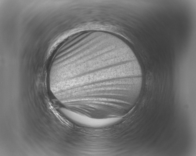 X0000085801507200703301444