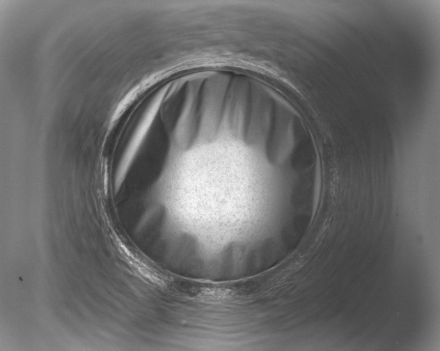 X0000085801509200703301444