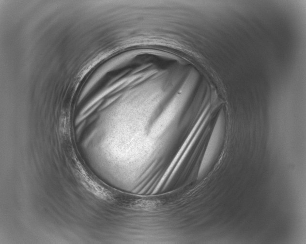X0000085801513200703301444