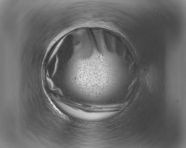 X0000085801517200703301444