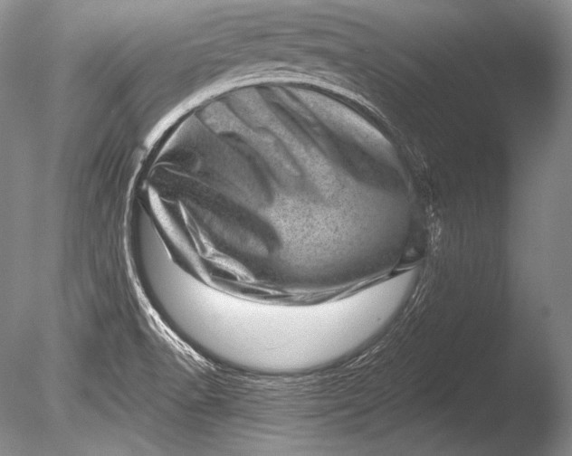 X0000085801518200703301444