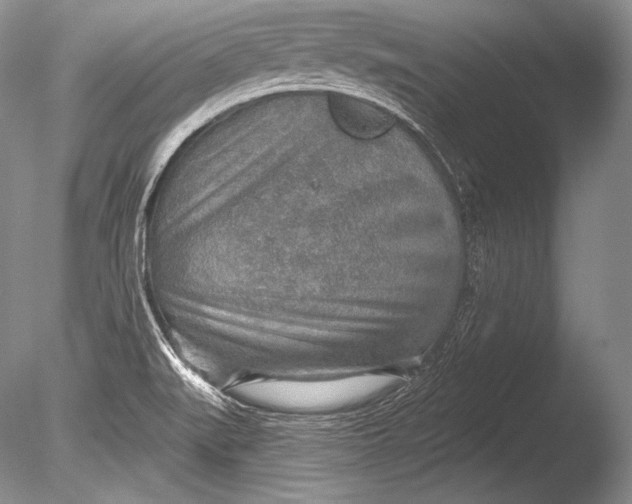 X0000085801519200703301444