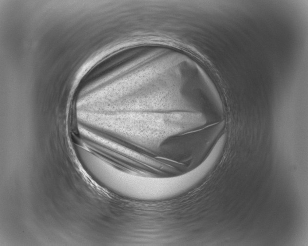 X0000085801520200703301444