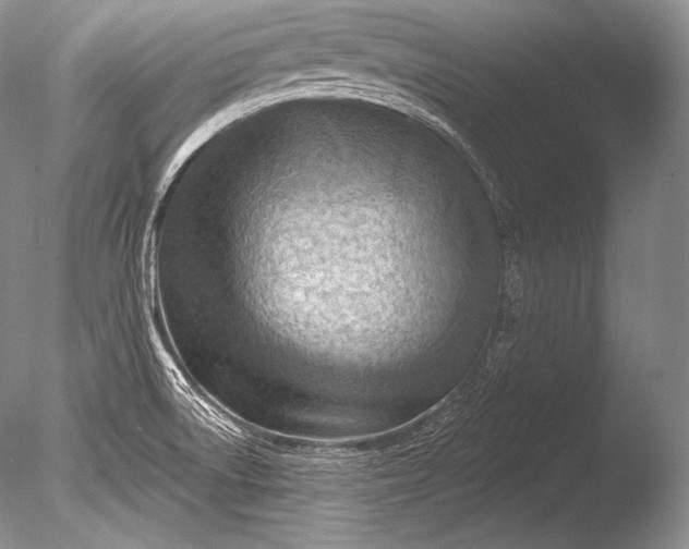 X0000085801522200703301444