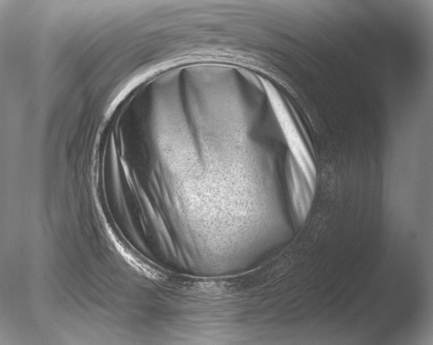 X0000085801523200703301444