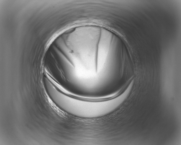 X0000085801524200703301445