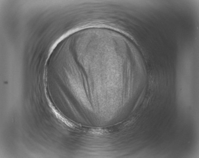 X0000085801526200703301445