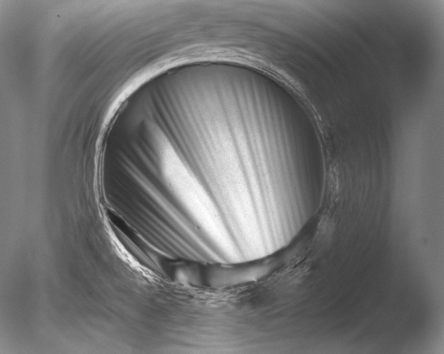 X0000085801528200703301445