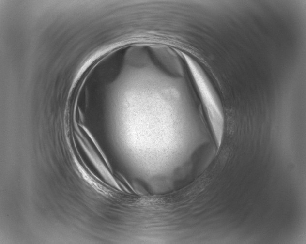 X0000085801531200703301445