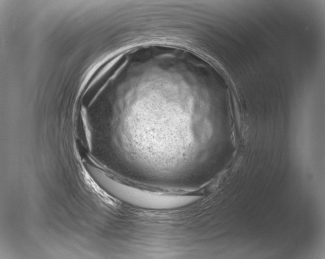 X0000085801532200703301445