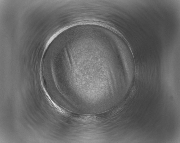 X0000085801533200703301445