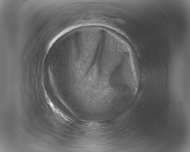 X0000085801534200703301445