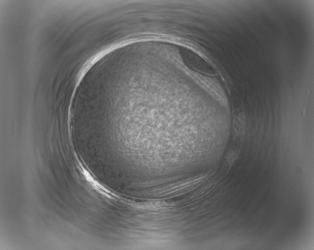 X0000085801535200703301445