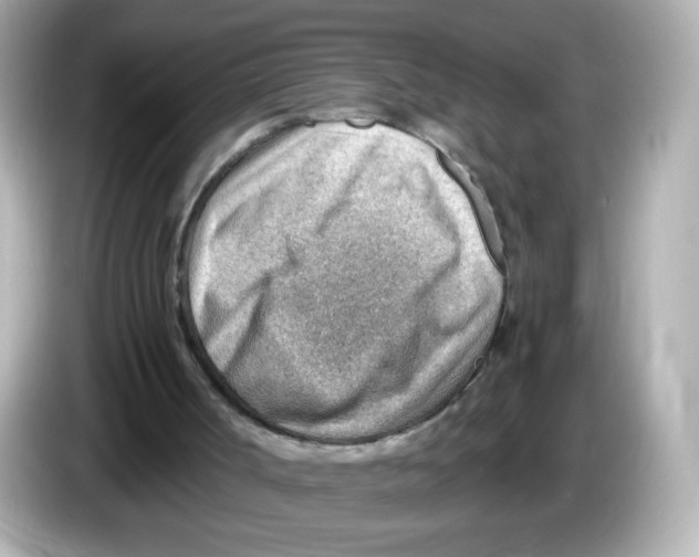 X0000085800002200704091457