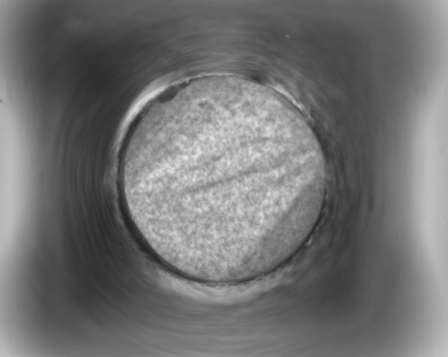 X0000085800006200704091457