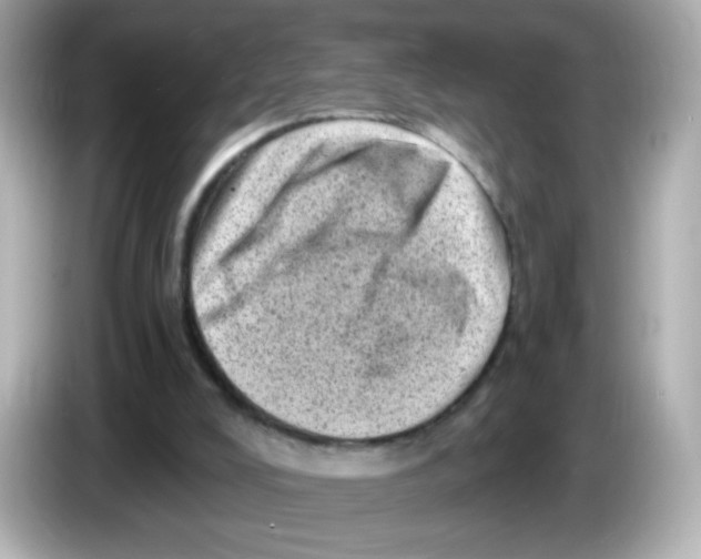 X0000085800008200704091457