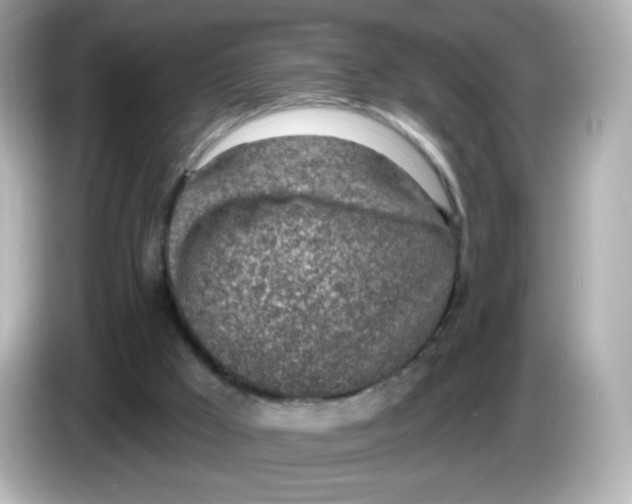 X0000085800009200704091457