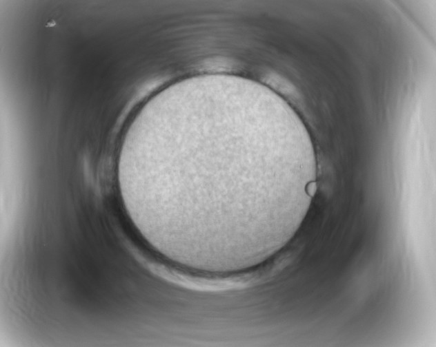 X0000085800012200704091457