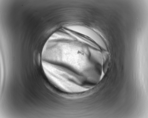 X0000085800013200704091457