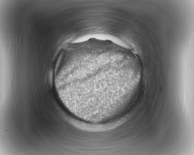 X0000085800014200704091457