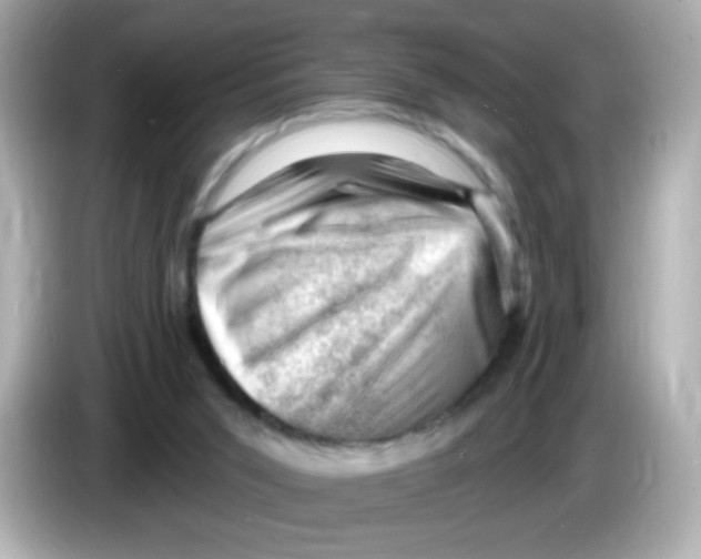 X0000085800015200704091457