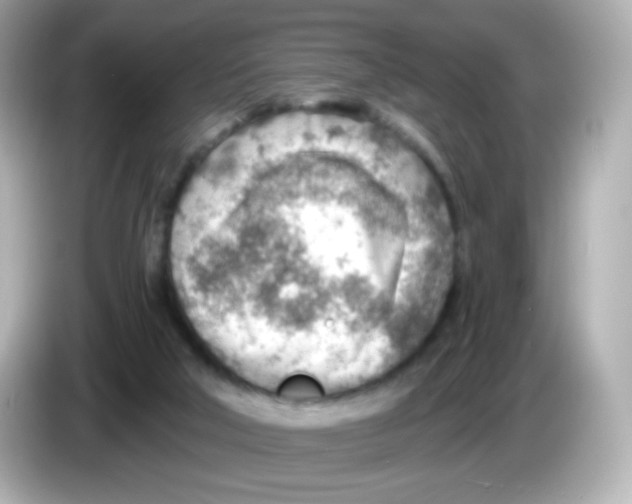 X0000085800018200704091457