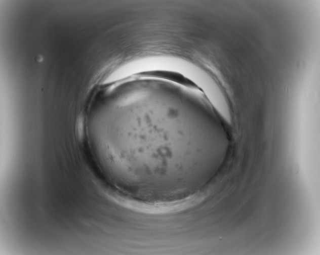 X0000085800019200704091457