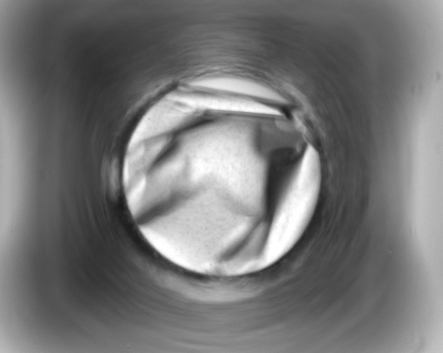 X0000085800020200704091457