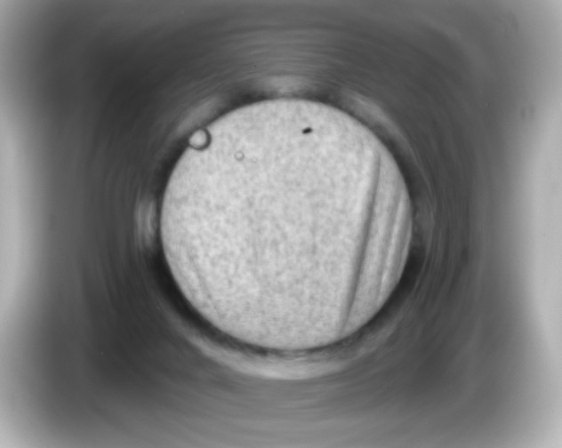 X0000085800024200704091457