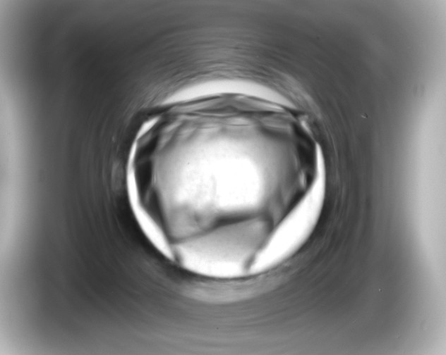 X0000085800025200704091457