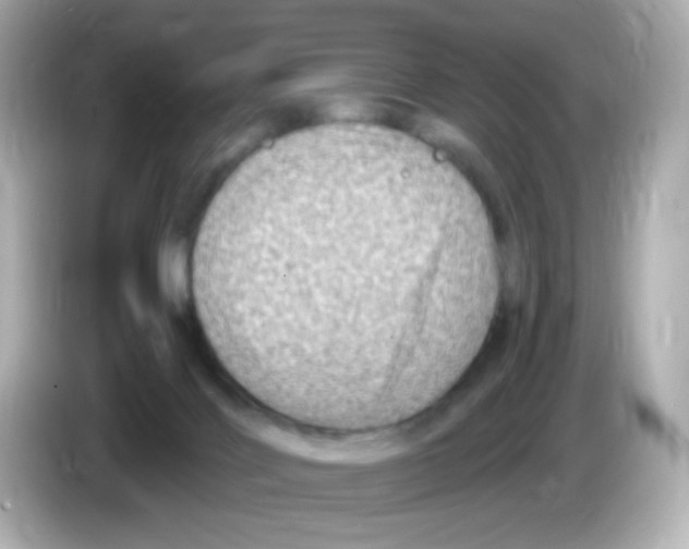 X0000085800028200704091457