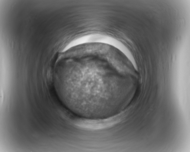 X0000085800029200704091457