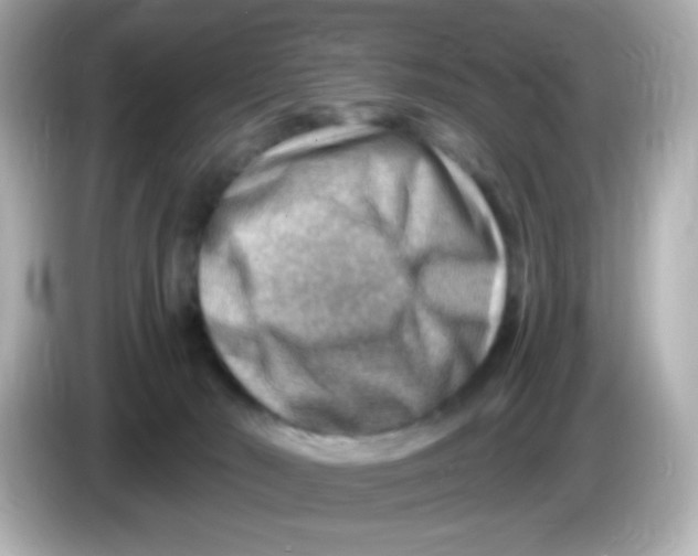 X0000085800030200704091457