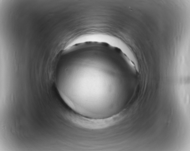 X0000085800031200704091457