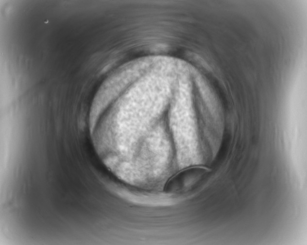 X0000085800032200704091457