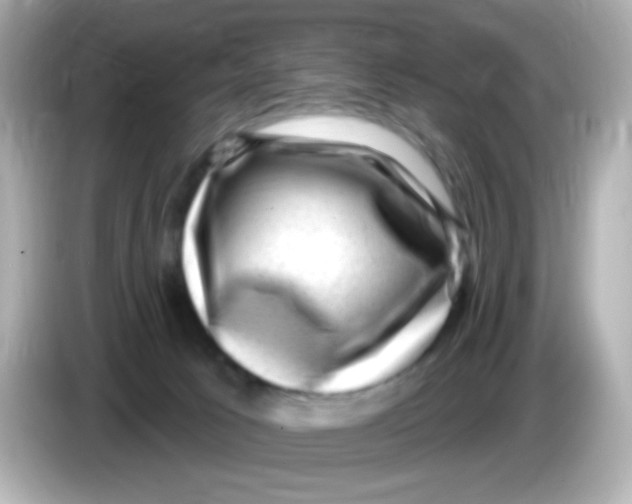 X0000085800033200704091457