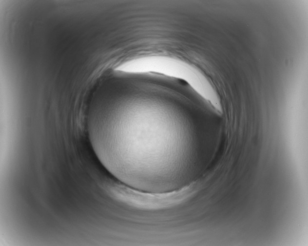 X0000085800035200704091457