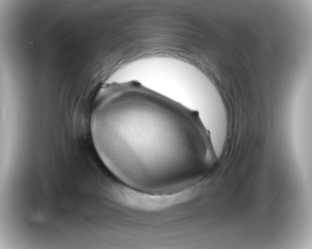 X0000085800039200704091457